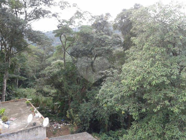 Foto REO182939