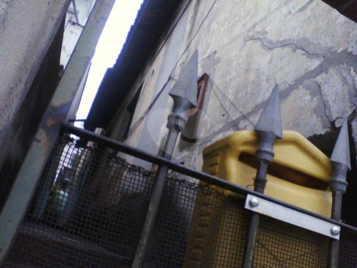 Foto REO183064