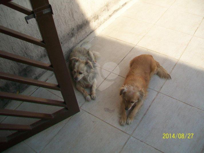 Foto REO183241