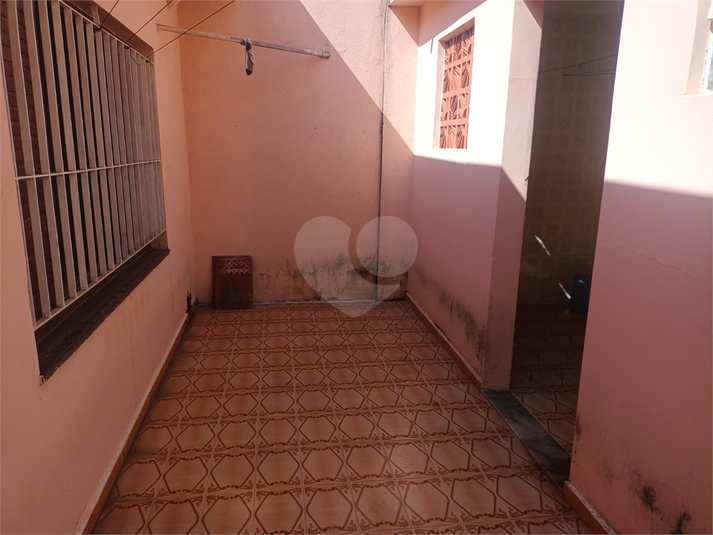Foto REO183283