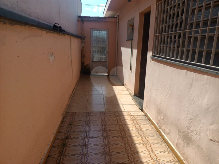 Foto REO183283