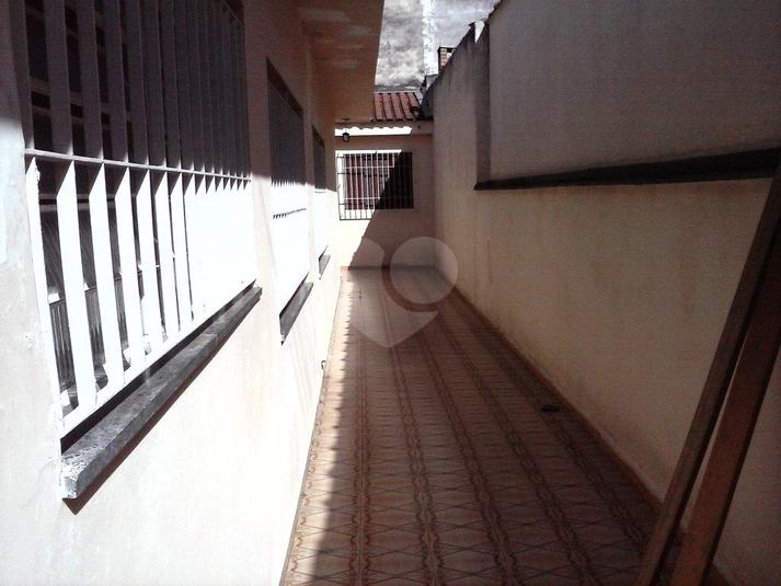 Foto REO183283