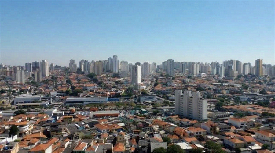 Foto REO183307