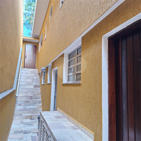 Foto REO183337