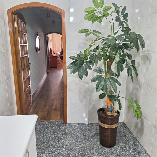 Foto REO183337
