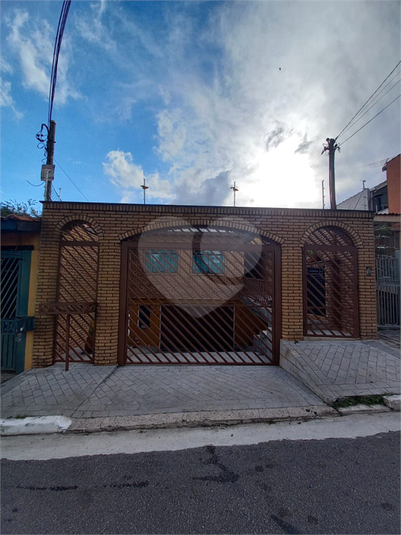 Foto REO183337