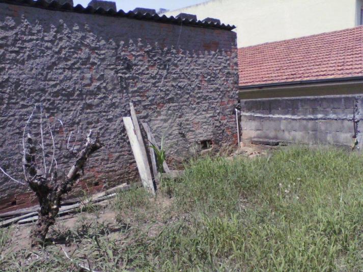 Foto REO183452
