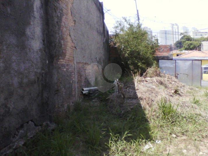 Foto REO183452