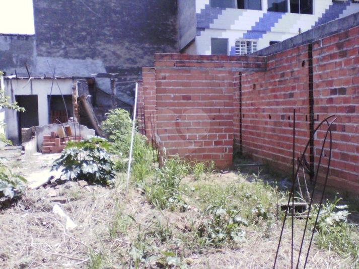 Foto REO183452