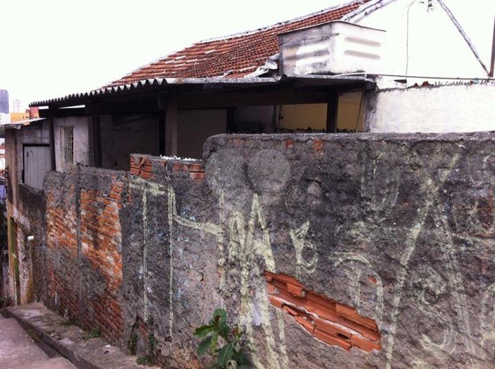 Foto REO183480
