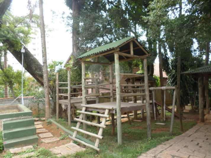 Foto REO183617