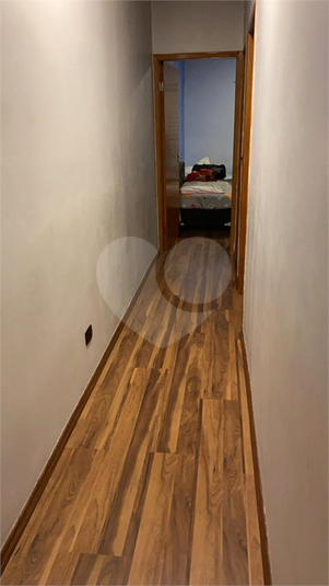 Foto REO183686