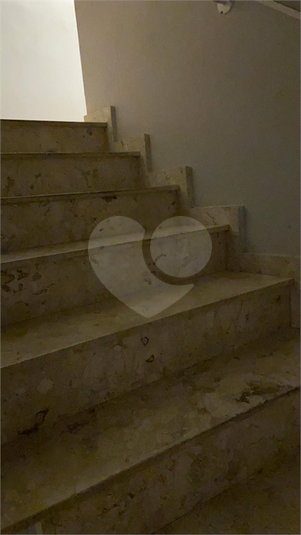 Foto REO183686