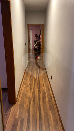 Foto REO183686