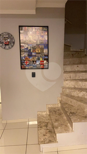 Foto REO183686