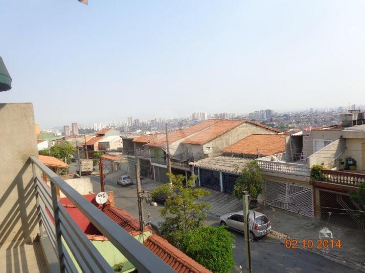 Foto REO183686