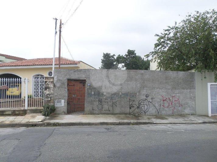 Foto REO183740