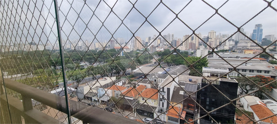 Foto REO183782