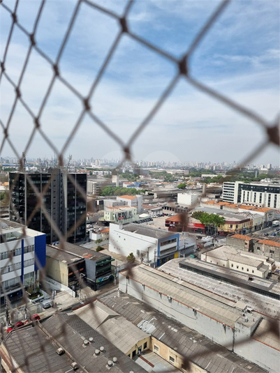 Foto REO183800