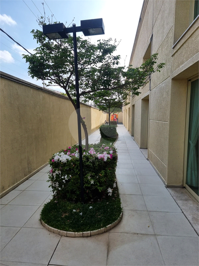 Foto REO183800