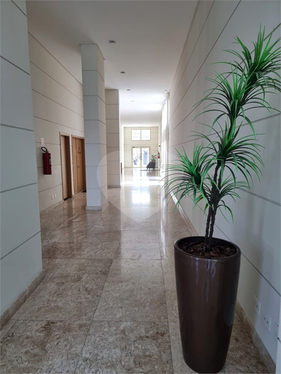 Foto REO183800