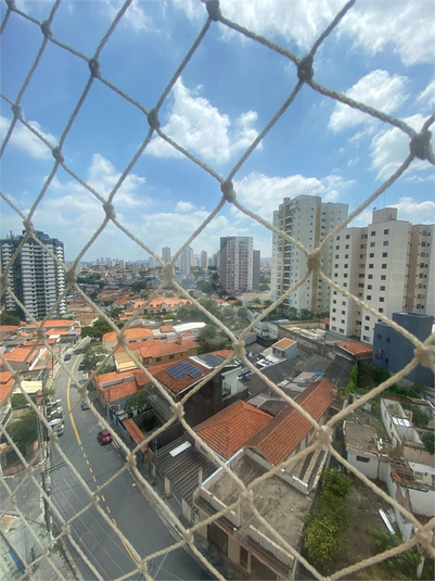 Foto REO183979