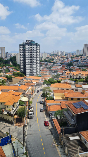 Foto REO183979