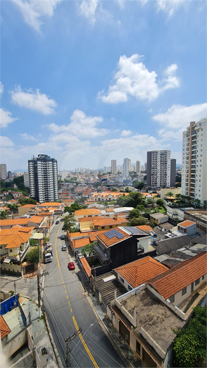 Foto REO183979