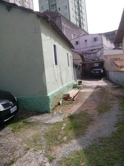 Foto REO184148