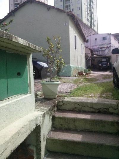Foto REO184148