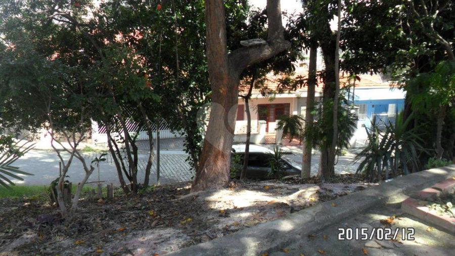 Foto REO184217