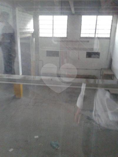 Foto REO184292