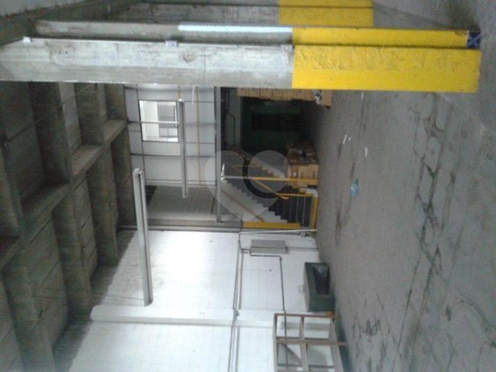 Foto REO184292