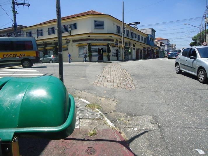 Foto REO184372