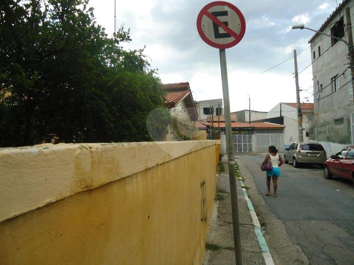 Foto REO184405