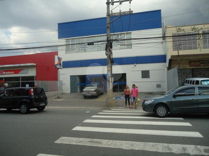 Foto REO184405
