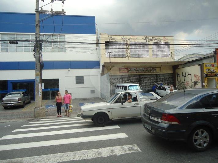 Foto REO184405