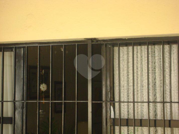Foto REO184490