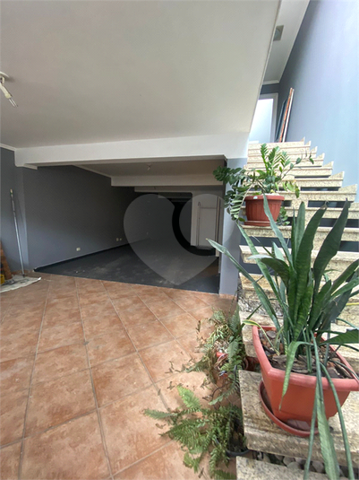 Foto REO184499