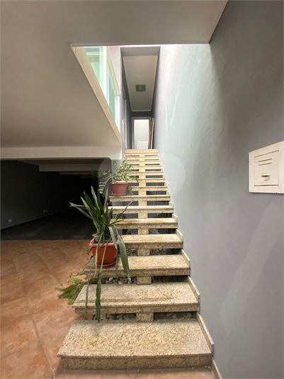 Foto REO184499