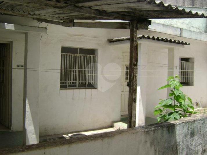 Foto REO184557