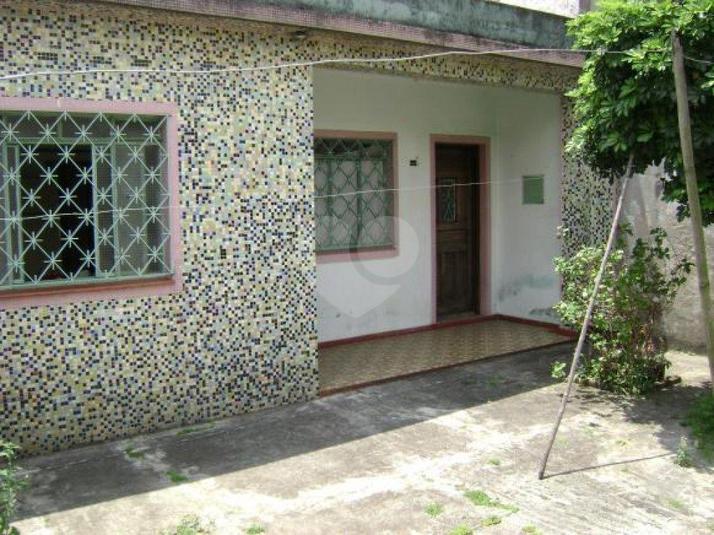 Foto REO184557