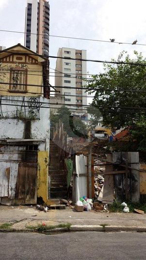Foto REO184591