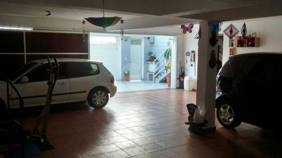Foto REO184638