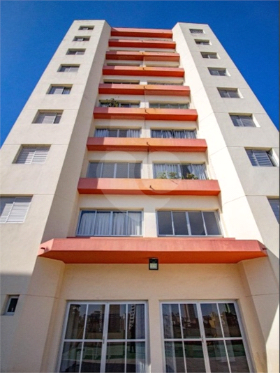 Foto REO184679