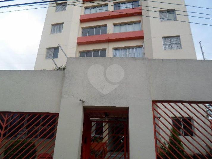 Foto REO184679