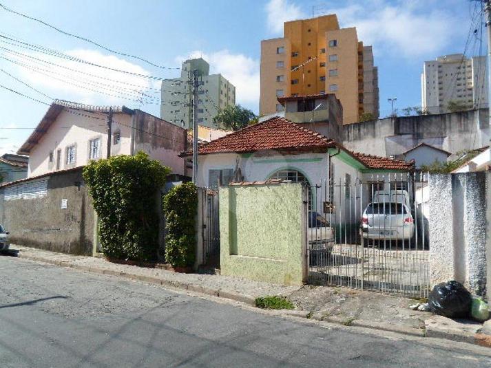 Foto REO184680