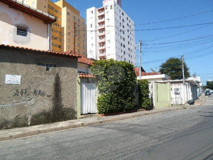 Foto REO184680