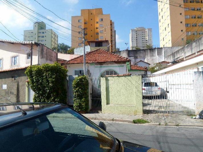 Foto REO184680