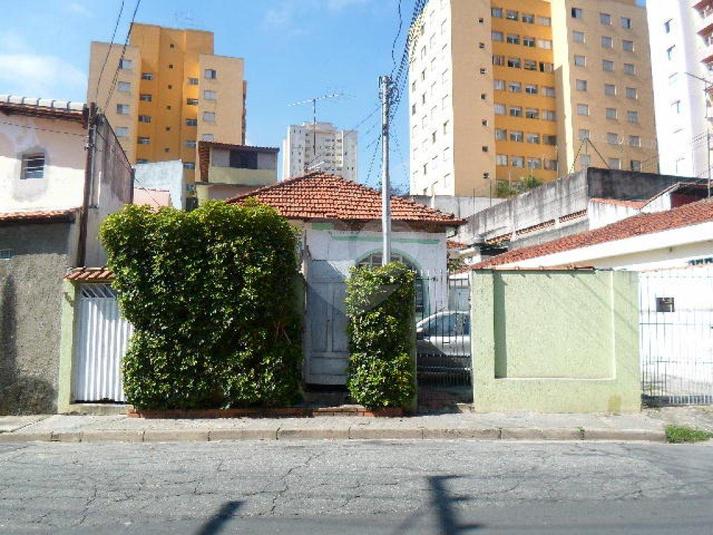 Foto REO184680